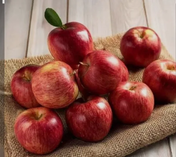 Apple (सेब)