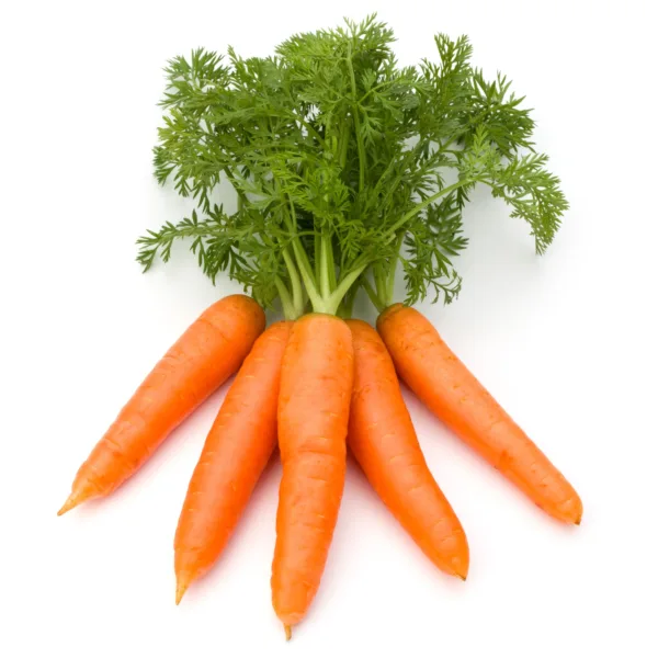 carrot-vegetable-with-leaves-isolated-white-background-cutout_272595-91