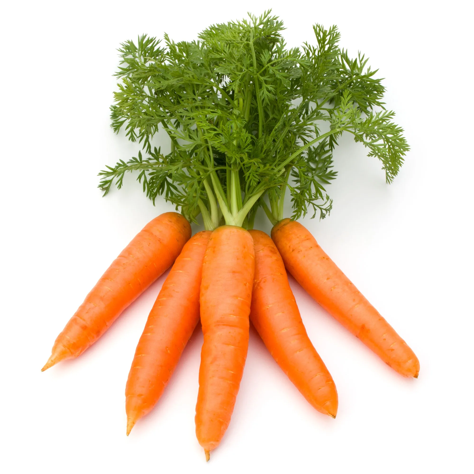 carrot-vegetable-with-leaves-isolated-white-background-cutout_272595-91