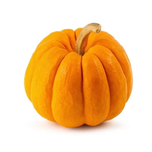 close-up-orange-pumpkin-against-white-background_1048944-22102260