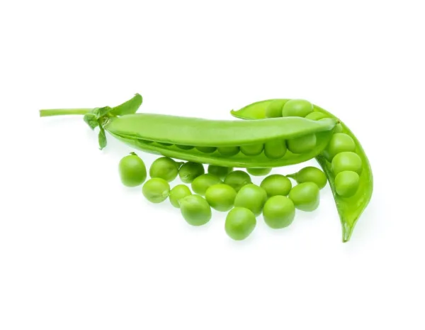 peas-isolated-white_319514-3903