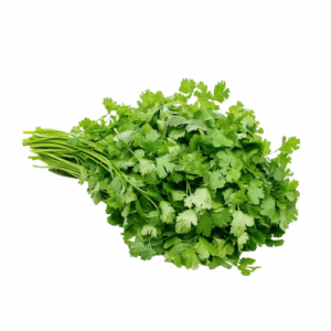 Coriander