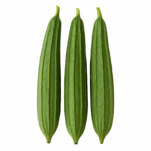 Ridge Gourd