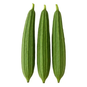 Ridge Gourd