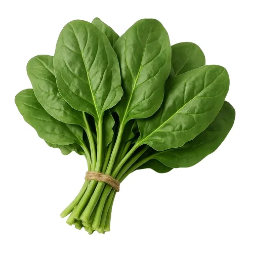 Spinach_remove_bg