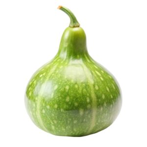 calabash-bottle-gourd-isolated-white_1215518-15624