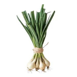 fresh-spring-onions-green-white-bundle_191095-93801