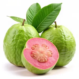 Guava Fruit