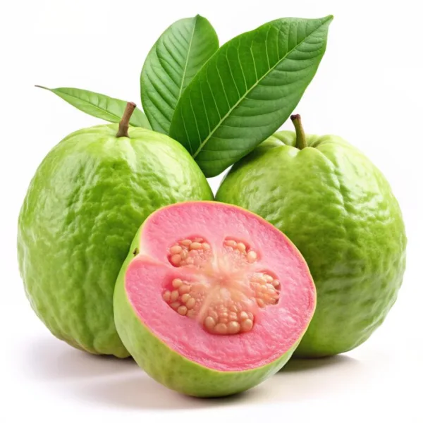 Guava Fruit