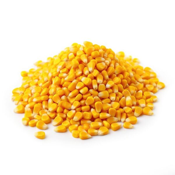 photo-raw-corn-grains-isolated-white-background_1120055-500