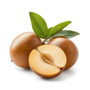 sapodilla chiku